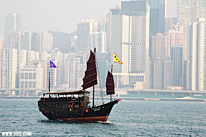 照片 1617.jpg