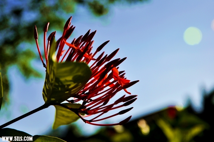 DSC_0031-1.jpg