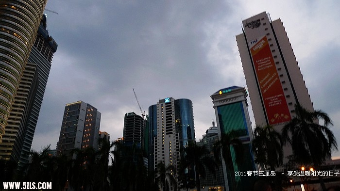 P1150859.jpg