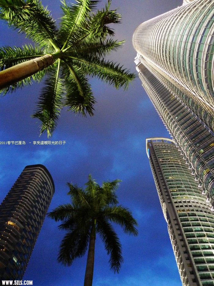 P1150891.jpg
