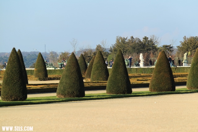 78.JPG