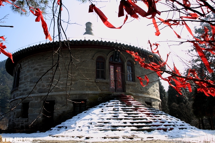 ls009.JPG