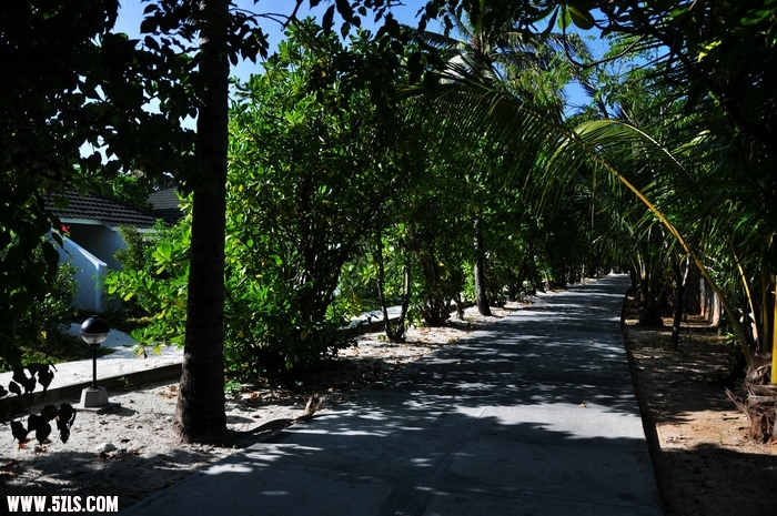 DSC_0032-1.jpg