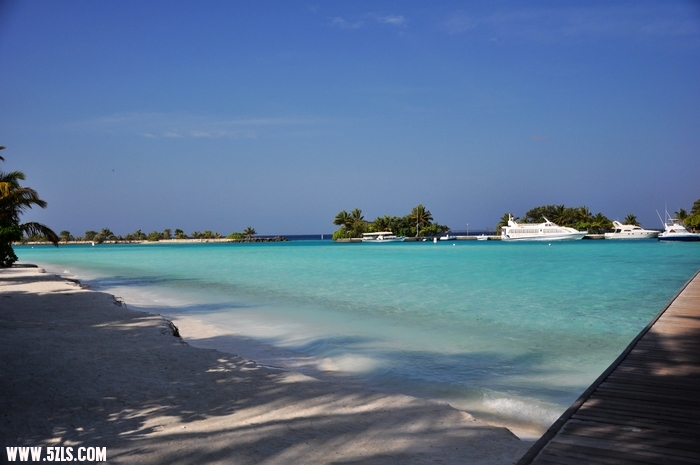 DSC_0037-1.jpg