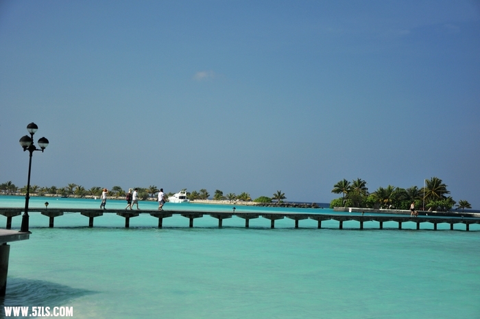 DSC_0046-1.jpg