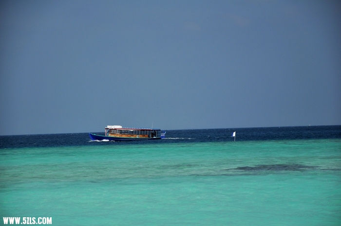 DSC_0048-1.jpg