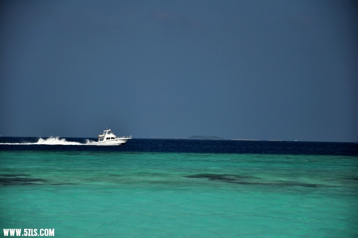 DSC_0047-1.jpg