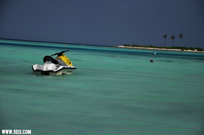 DSC_0074-1.jpg