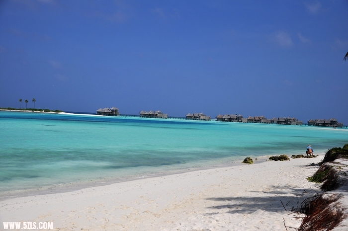 DSC_0076-1.jpg