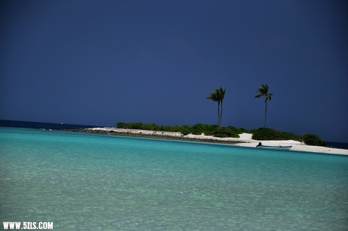 DSC_0093-1.jpg