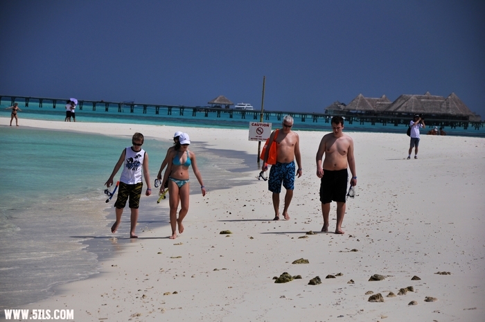DSC_0081-1.jpg