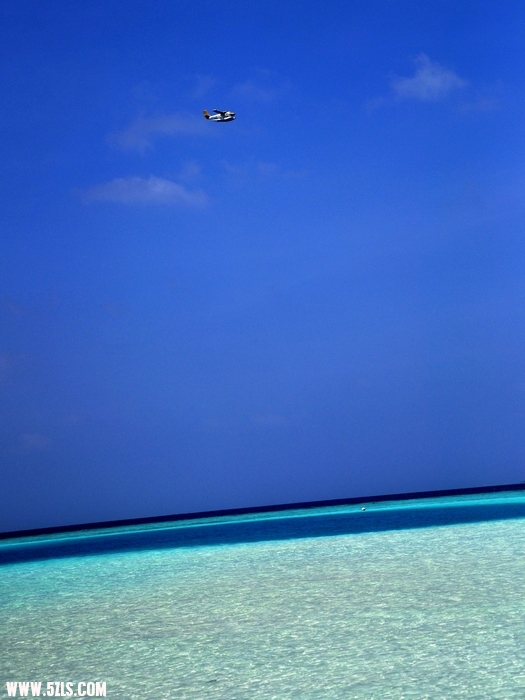 DSC_0110-1.jpg