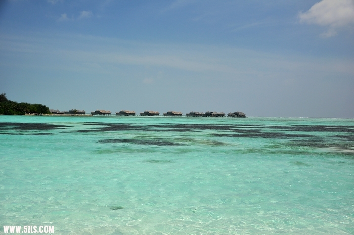 DSC_0112-1.jpg