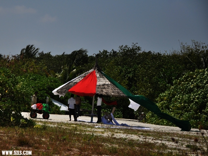 DSC_0113-1.jpg