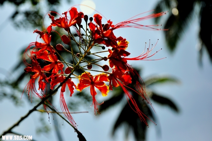 DSC_0120-1.jpg