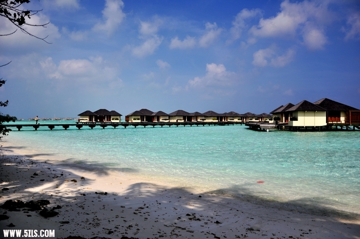 DSC_0124-1.jpg