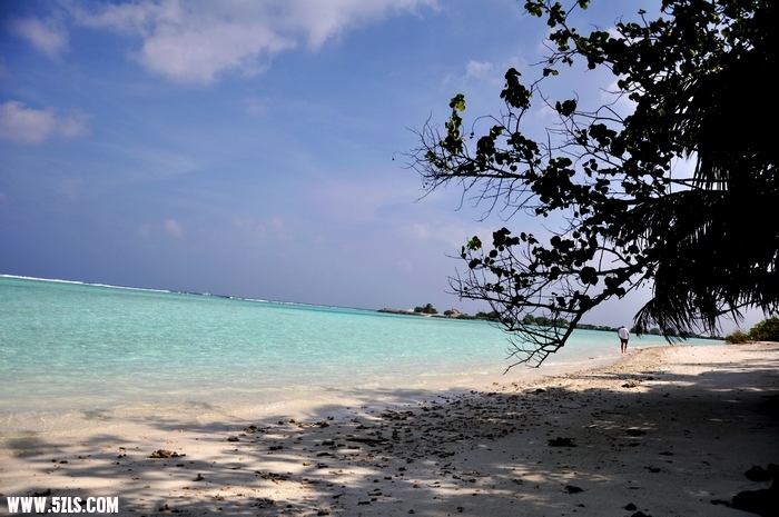 DSC_0125-1.jpg