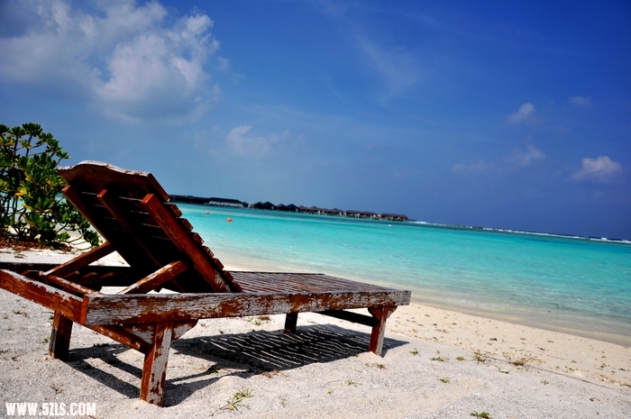 DSC_0134-1.jpg
