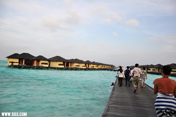 DSC_0140-1.jpg