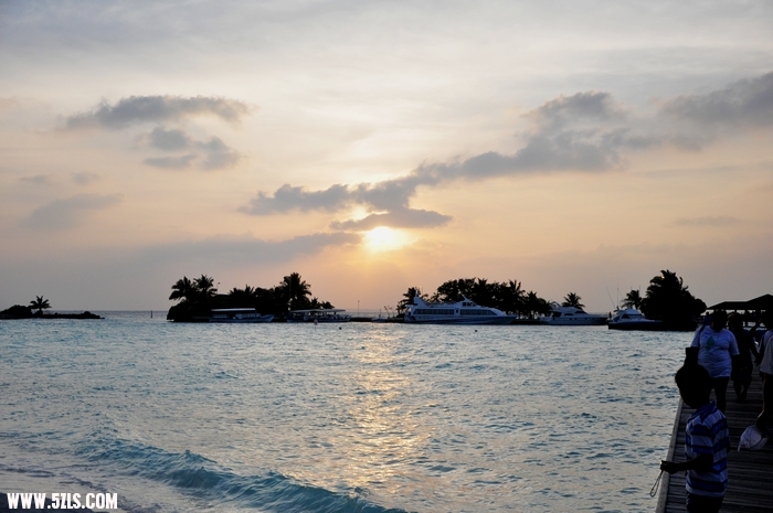 DSC_0144-1.jpg