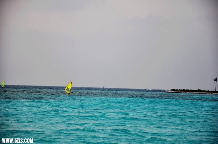 DSC_0145-1.jpg
