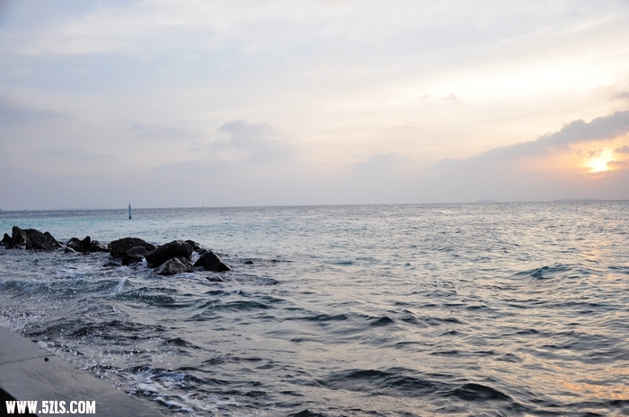 DSC_0156-1.jpg