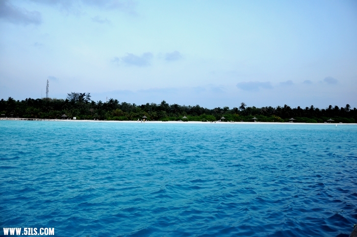 DSC_0158-1.jpg