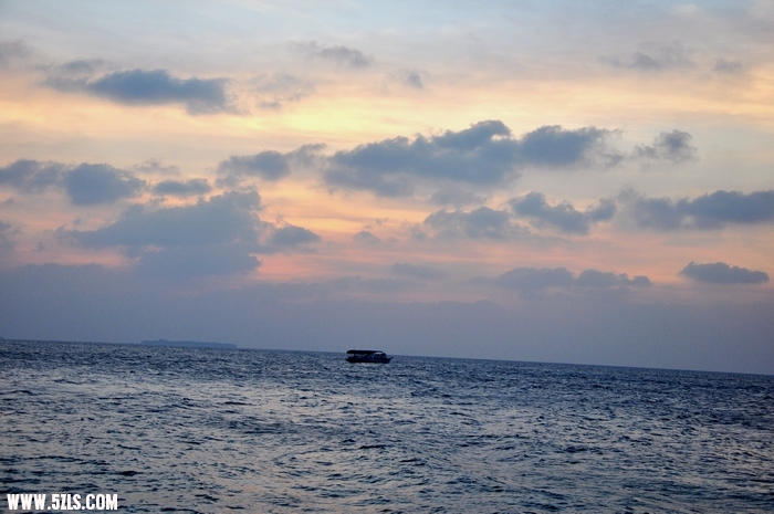DSC_0160-1.jpg