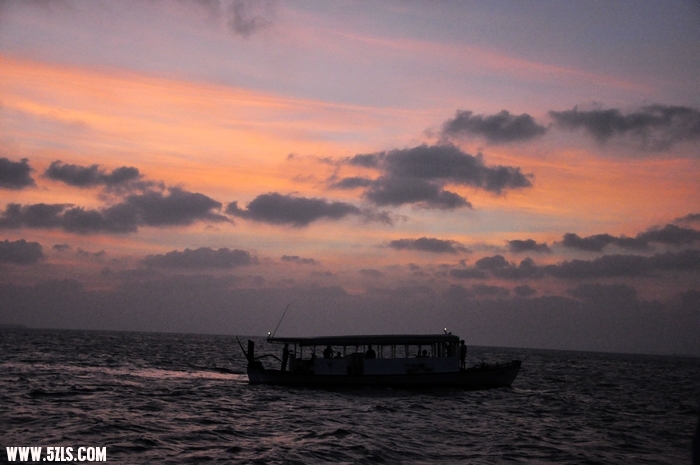 DSC_0178-1.jpg