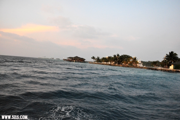 DSC_0174-1.jpg