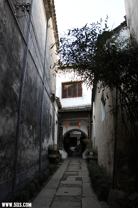 ls004.JPG