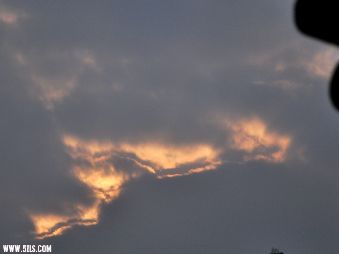 DSC_0328-1.jpg