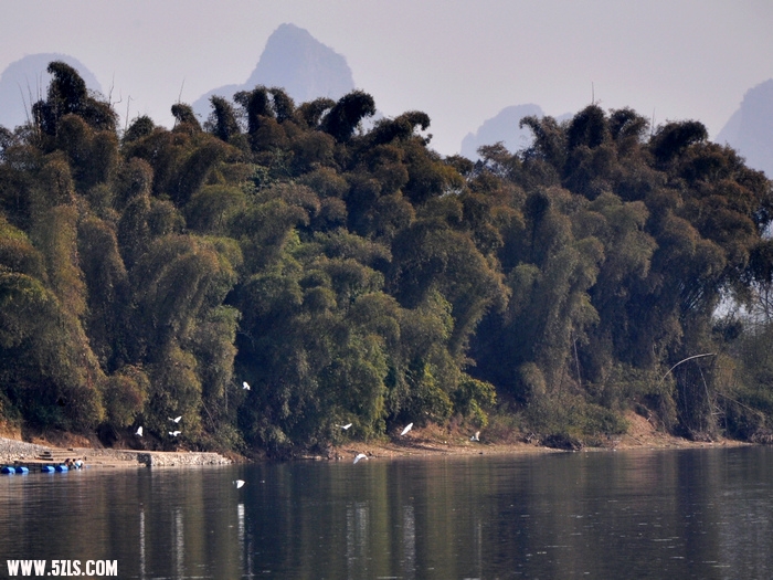 DSC_0460-1.jpg