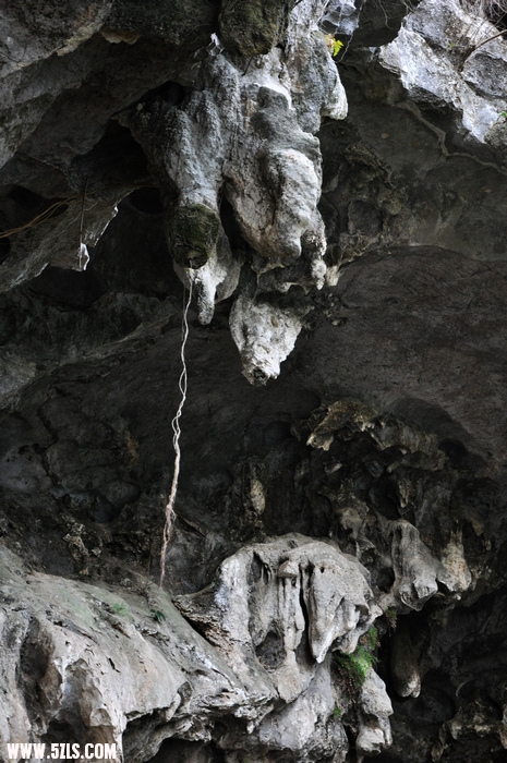 DSC_0477-1.jpg
