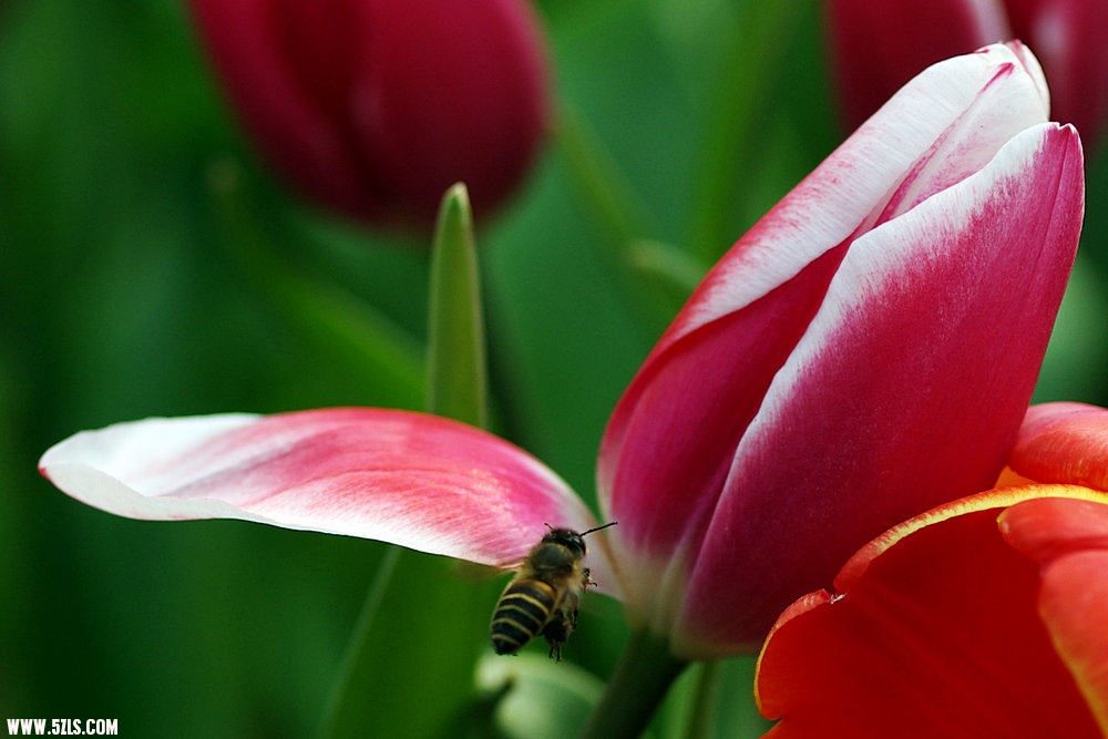 IMGP9643.jpg
