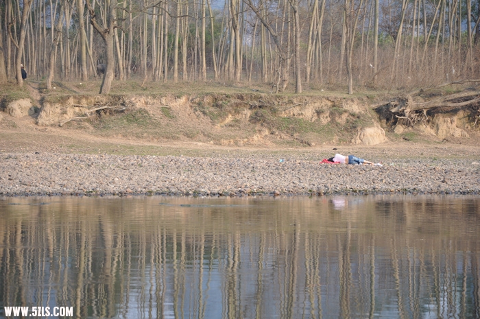 DSC_0549-1.jpg