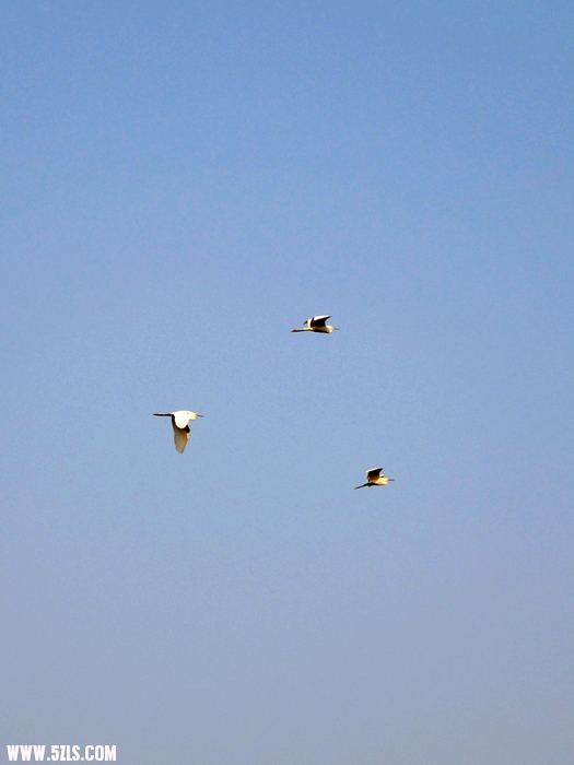 DSC_0552-1.jpg