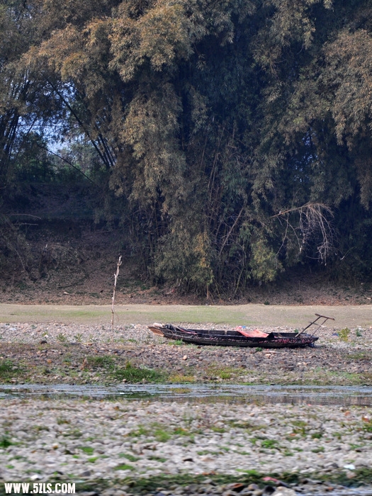 DSC_0590-1.jpg