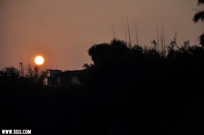 DSC_0619-1.jpg