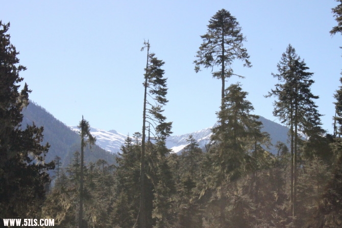http_imgloadCA3L88JL.jpg