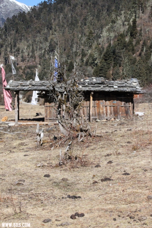 http_imgloadCA379L72.jpg