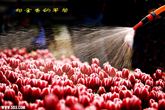 Ƭ 056.jpg