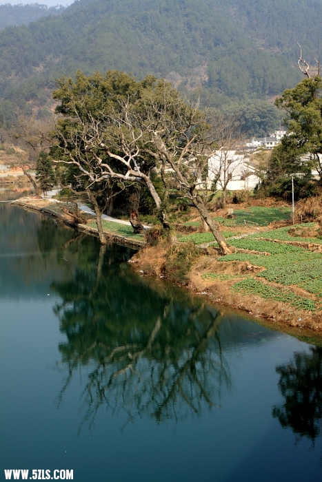 c007.JPG