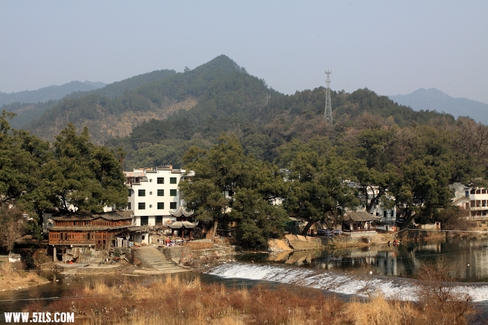 c009.JPG