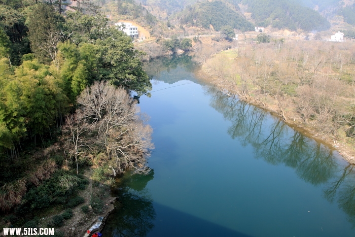 c011.JPG