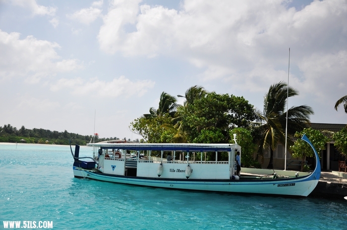 DSC_0204-1.jpg