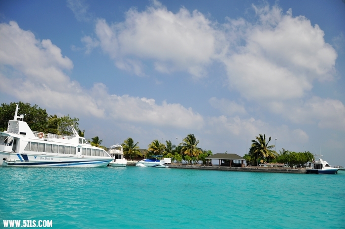DSC_0210-1.jpg