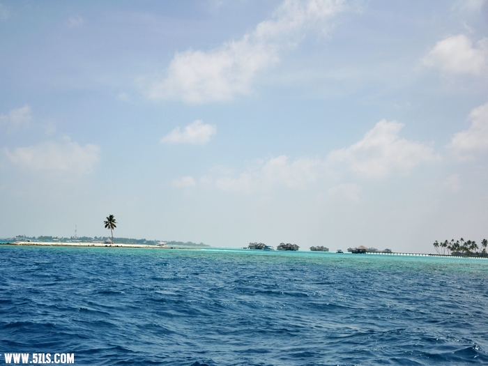 DSC_0218-1.jpg