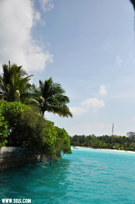 DSC_0211-1.jpg