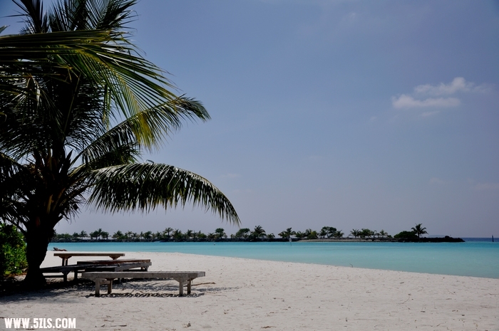 DSC_0235-1.jpg